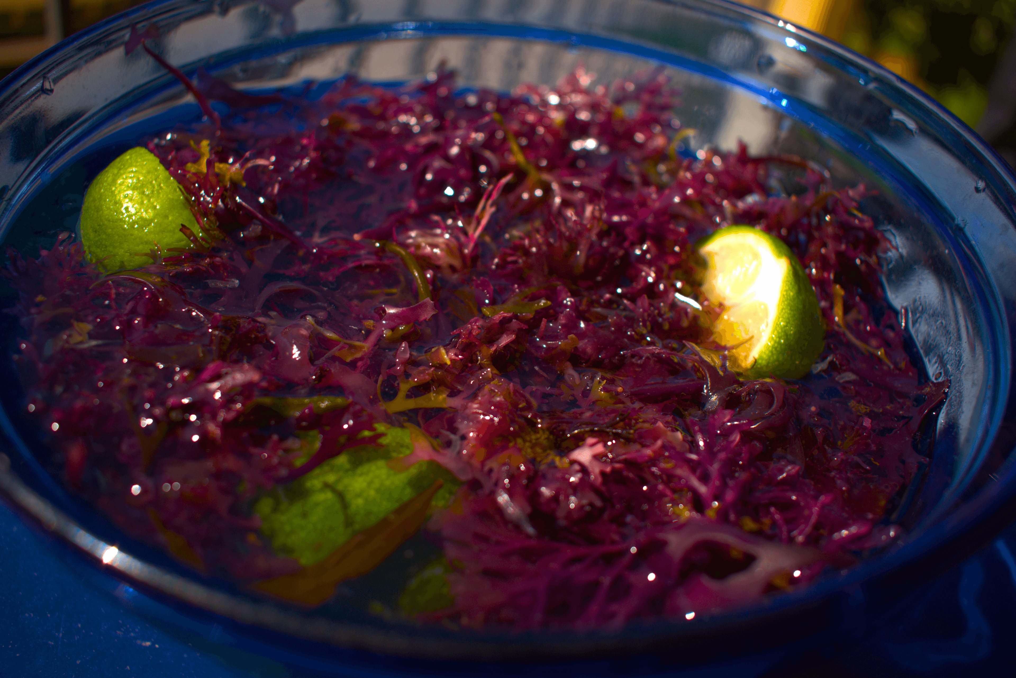 Bowl of Earth's Plug's Purple Sea Moss